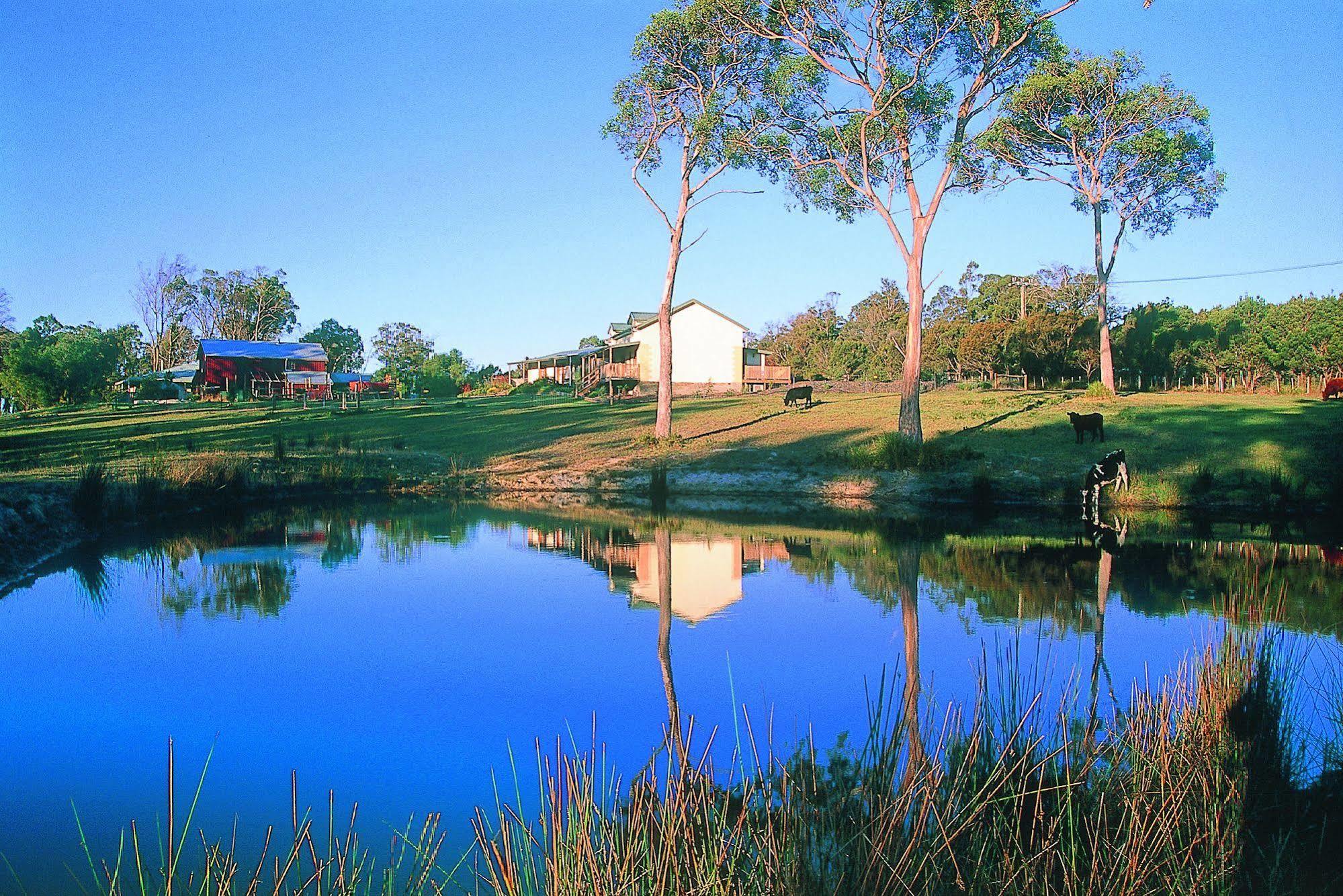 Platypus Park Country Retreat Villa Bridport Dış mekan fotoğraf