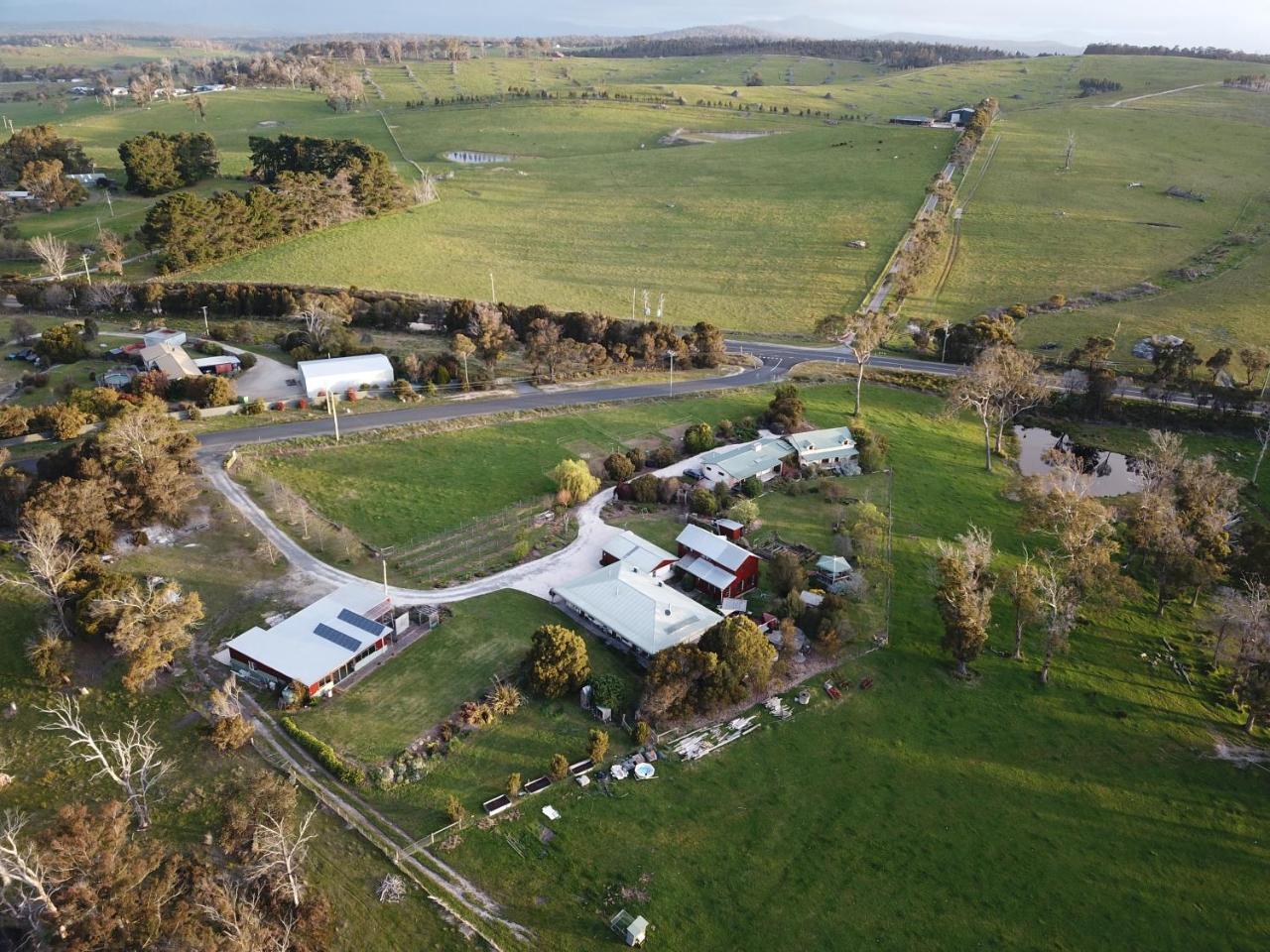 Platypus Park Country Retreat Villa Bridport Dış mekan fotoğraf